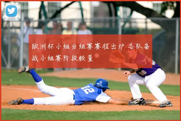 欧洲杯小组分组赛赛程出炉 各队备战小组赛阶段较量