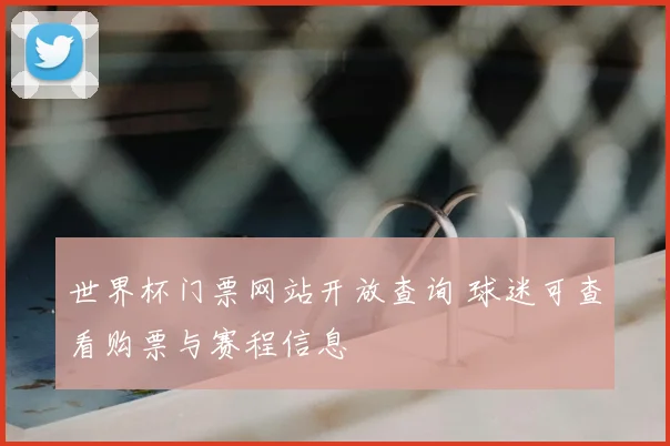 世界杯门票网站开放查询 球迷可查看购票与赛程信息
