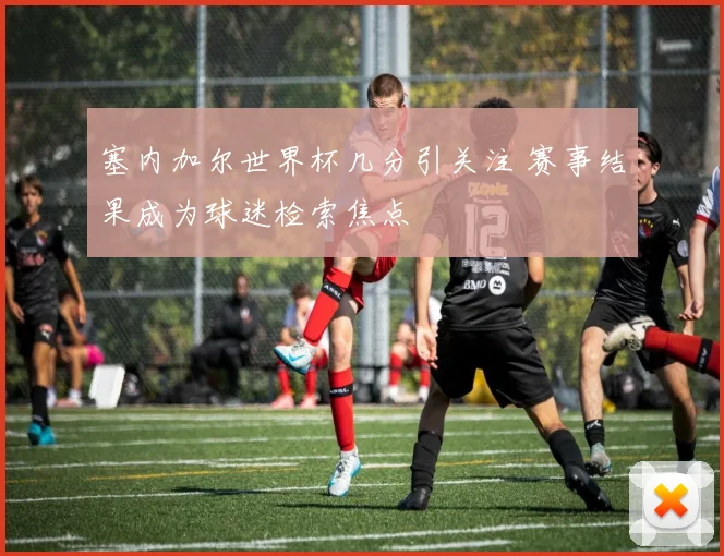 塞内加尔世界杯几分引关注 赛事结果成为球迷检索焦点