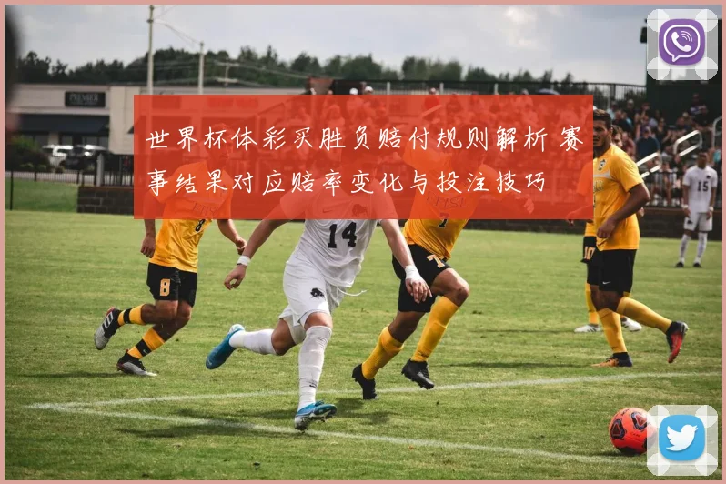 世界杯体彩买胜负赔付规则解析 赛事结果对应赔率变化与投注技巧